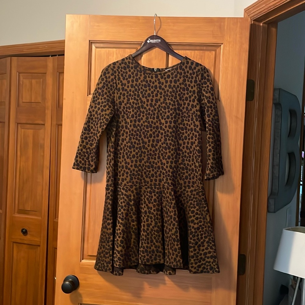 Loft Drop Waist Navy/Taupe Dress